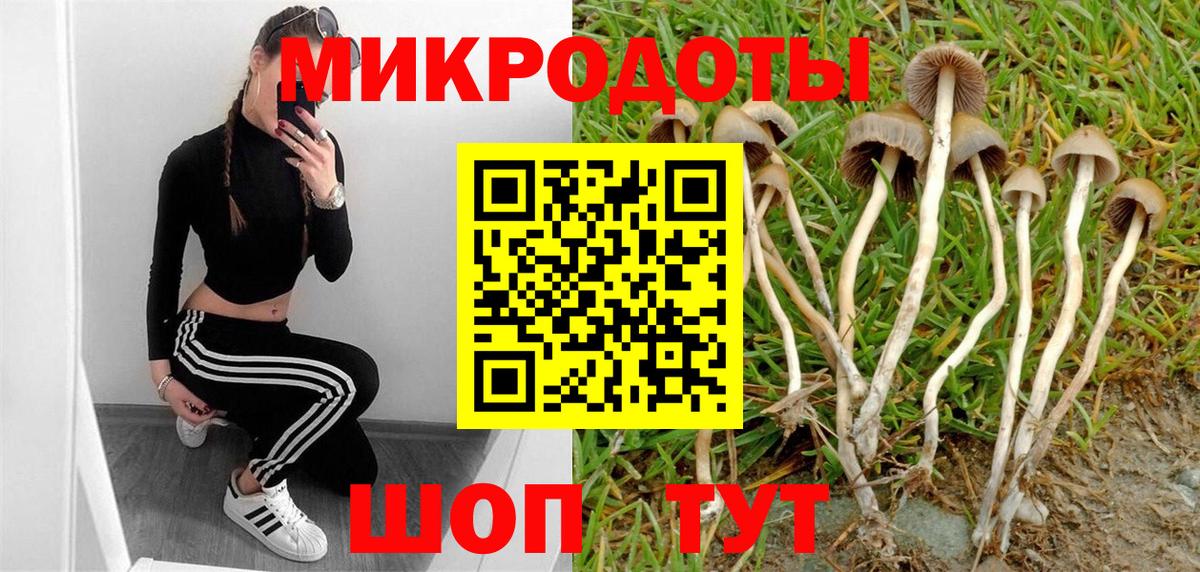 Белорецк  Псилоцибиновые грибы ЛСД  Вход с VPN 
